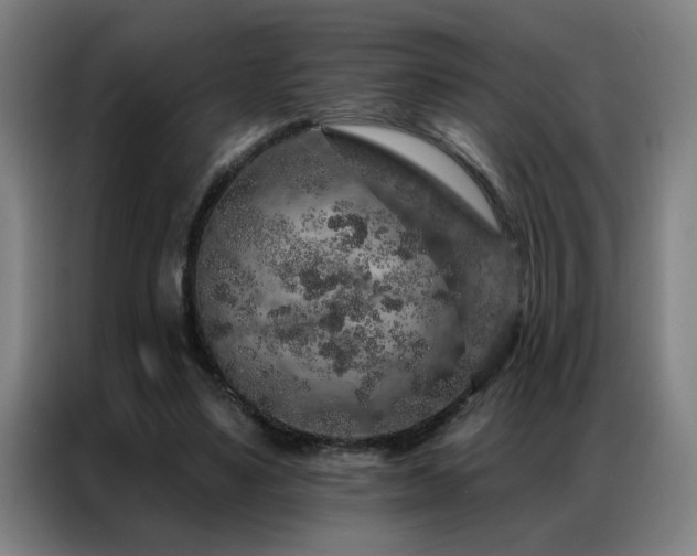 X0000087380491200704201248