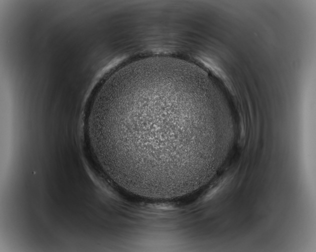 X0000087380492200704201248