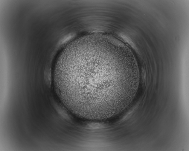 X0000087380494200704201248