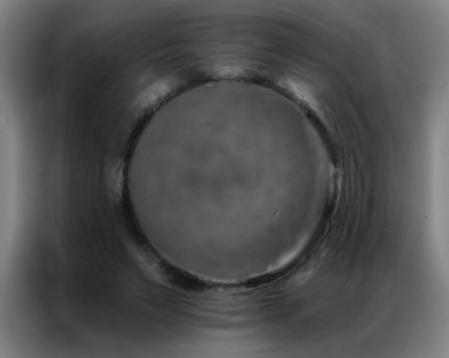 X0000087380495200704201248