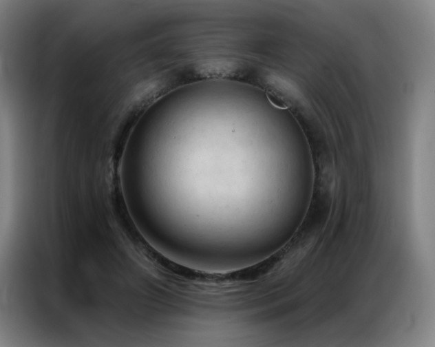 X0000087380498200704201248