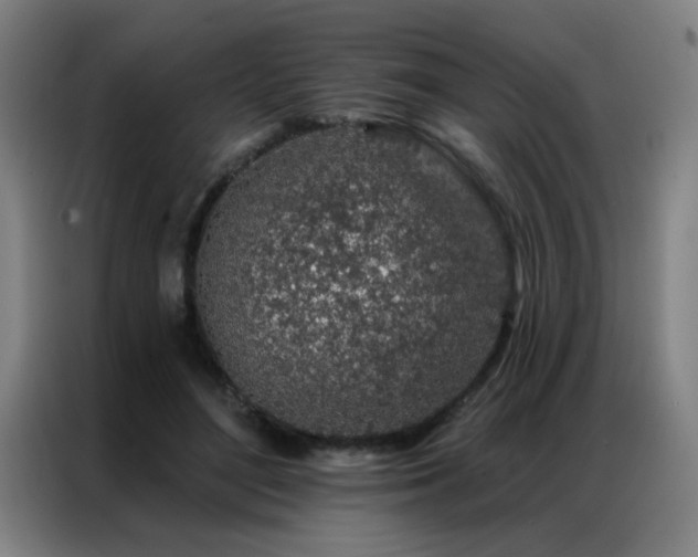 X0000087380500200704201248