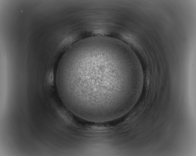 X0000087380502200704201248