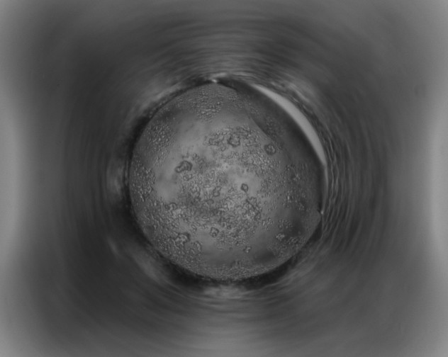 X0000087380503200704201248
