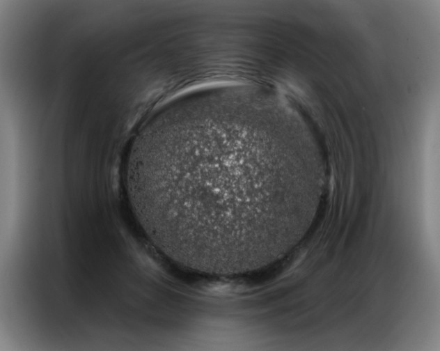 X0000087380504200704201248