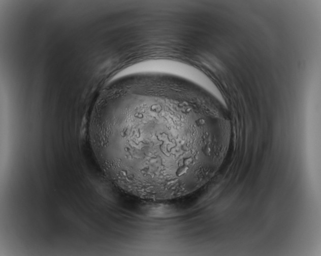 X0000087380507200704201248