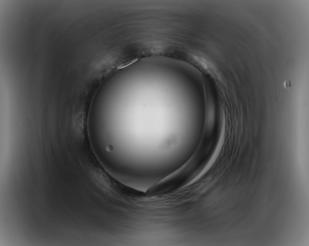 X0000087380509200704201248