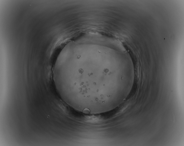 X0000087380511200704201248