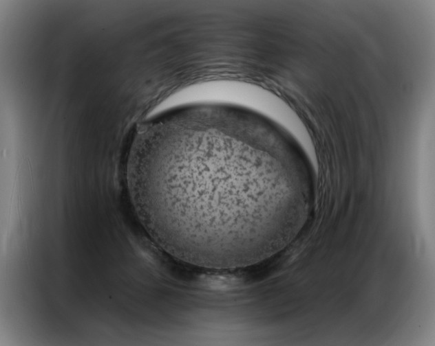 X0000087380512200704201248