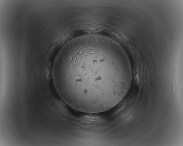X0000087380515200704201248
