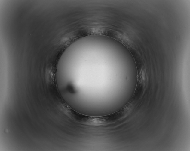 X0000087380522200704201247