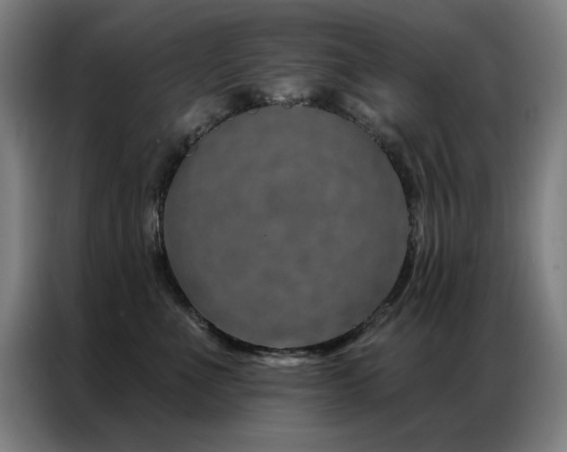 X0000087380523200704201247