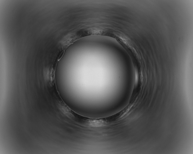 X0000087380525200704201247