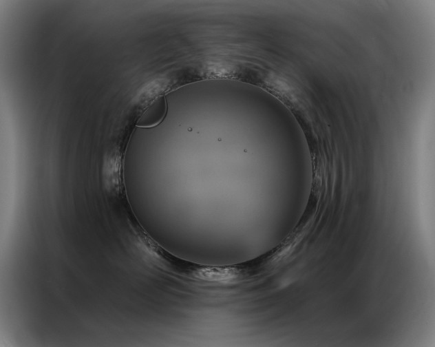 X0000087380526200704201247