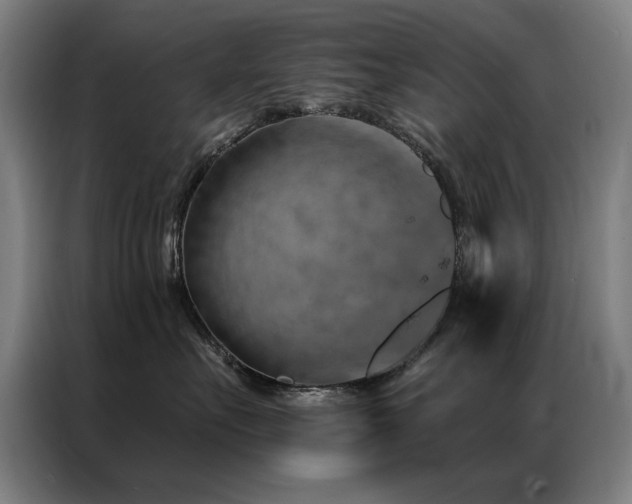 X0000087380527200704201247