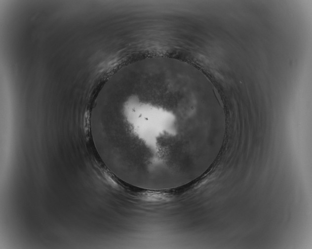 X0000087380528200704201247