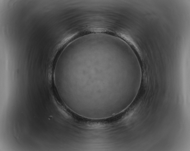 X0000087380533200704201247
