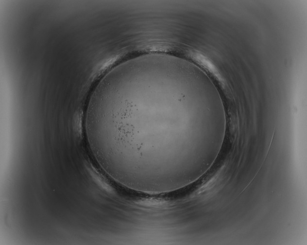 X0000087380537200704201247