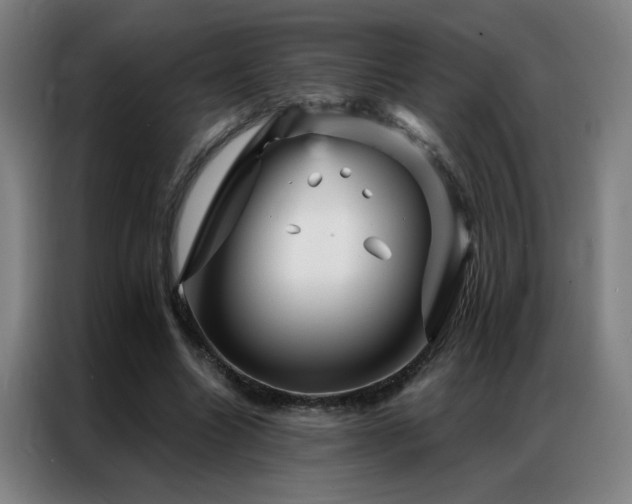 X0000087380538200704201247