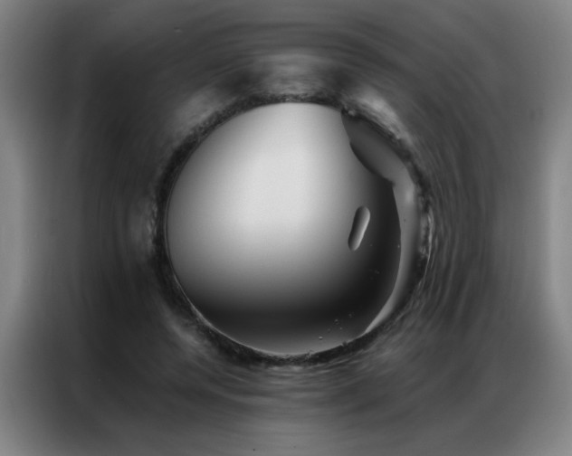 X0000087380544200704201247