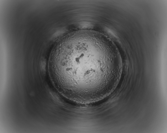 X0000087380550200704201247