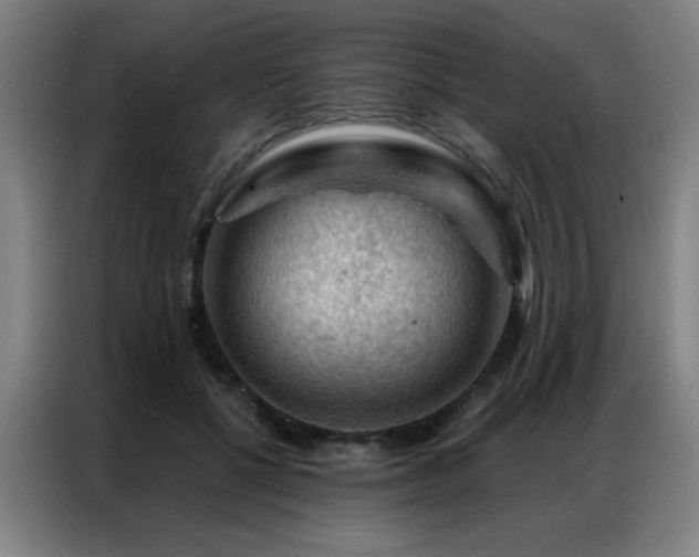 X0000087380552200704201247
