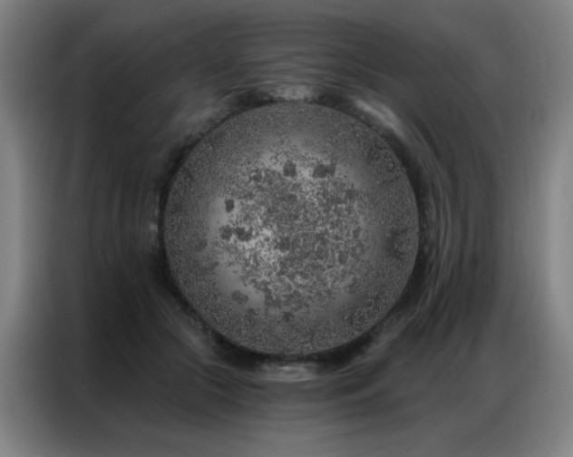 X0000087380553200704201247