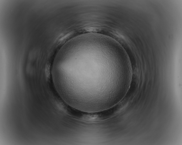 X0000087380554200704201247