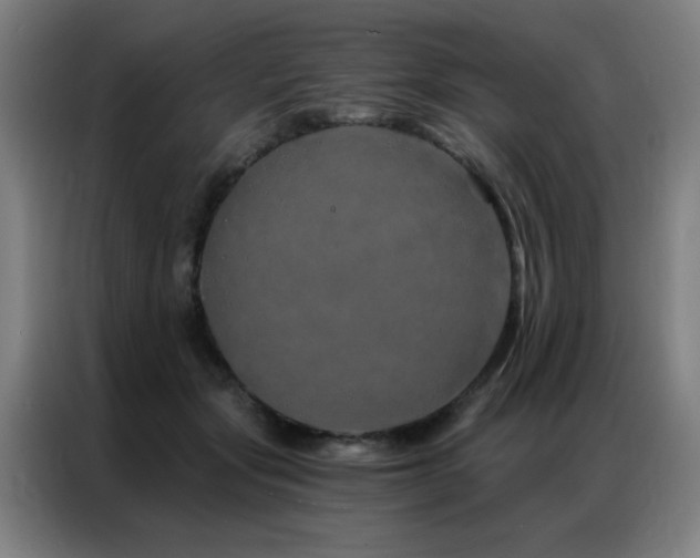 X0000087380557200704201247
