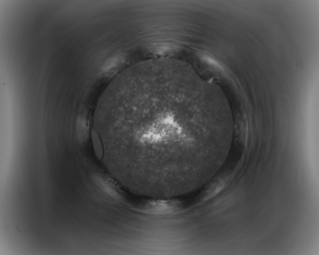 X0000087380558200704201247