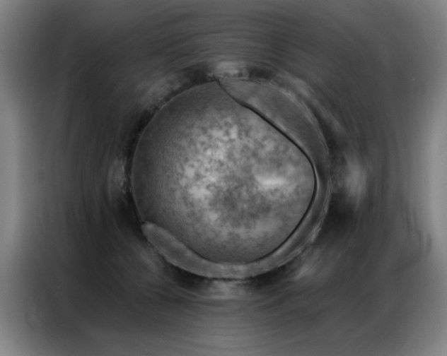 X0000087380560200704201247