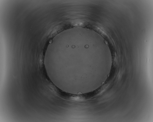 X0000087380561200704201247