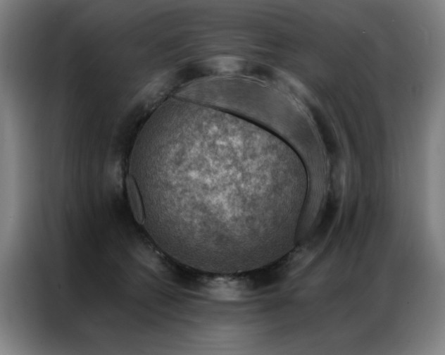 X0000087380562200704201247