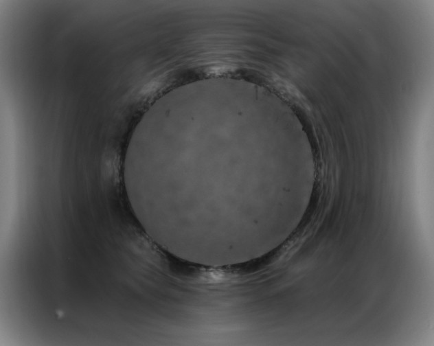 X0000087380565200704201247