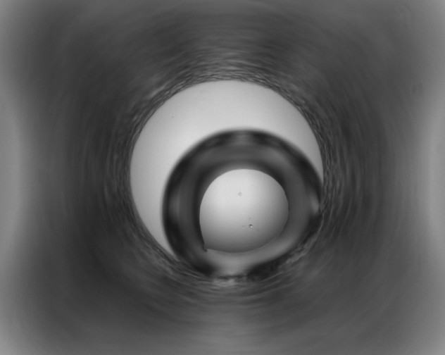X0000087380566200704201247