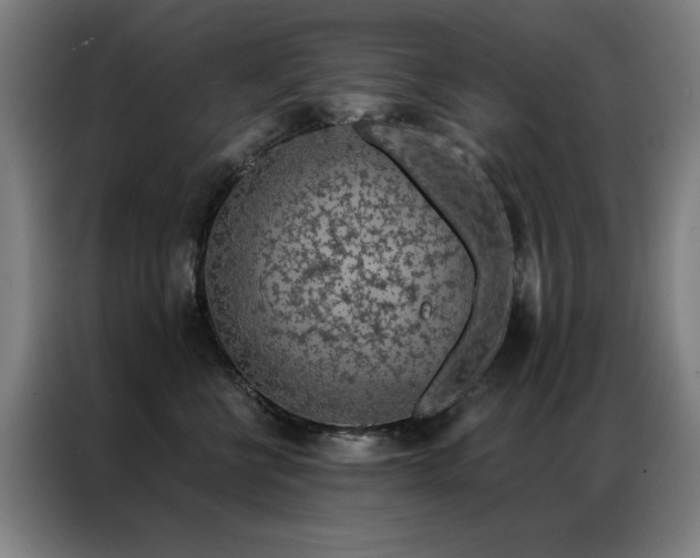 X0000087380570200704201247