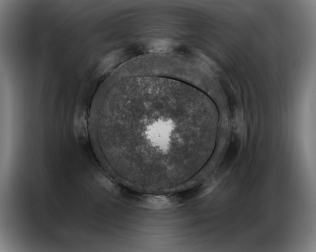 X0000087380572200704201247