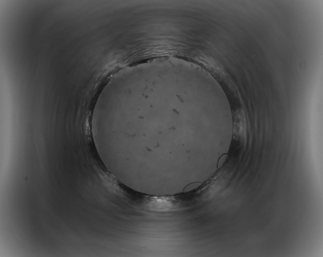 X0000087380573200704201247