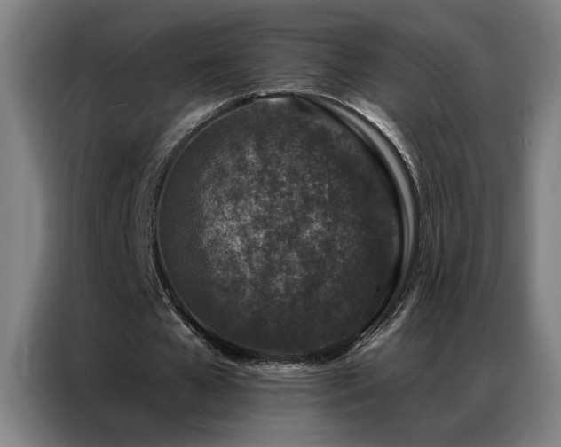 X0000087380577200704201247