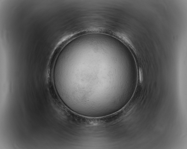 X0000087380579200704201247