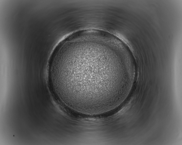 X0000087380580200704201247