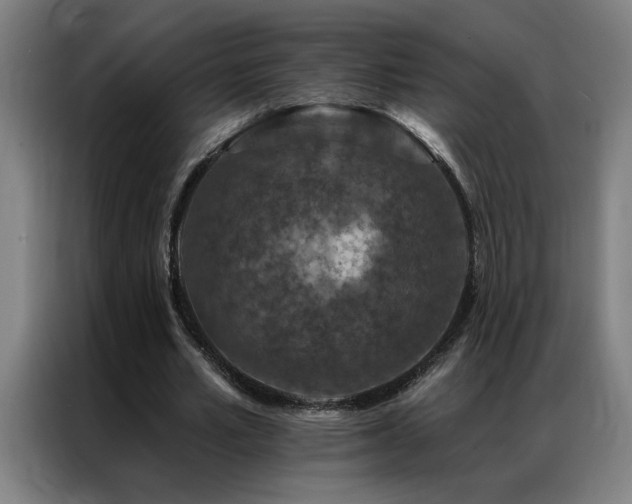 X0000087380581200704201247