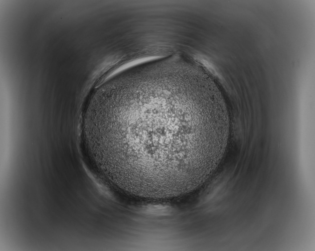 X0000087380586200704201247
