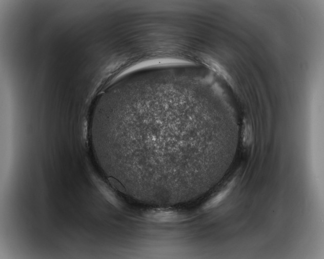 X0000087380589200704201247