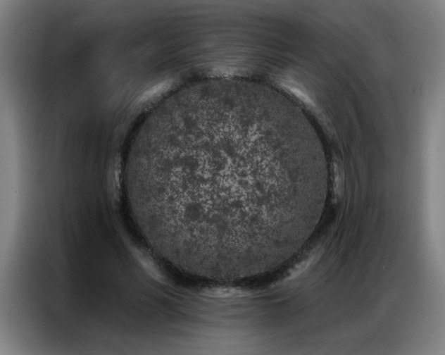 X0000087380590200704201247