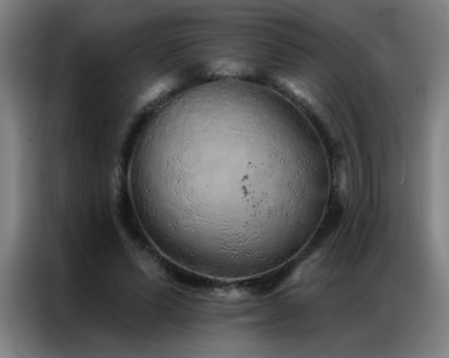 X0000087380591200704201247