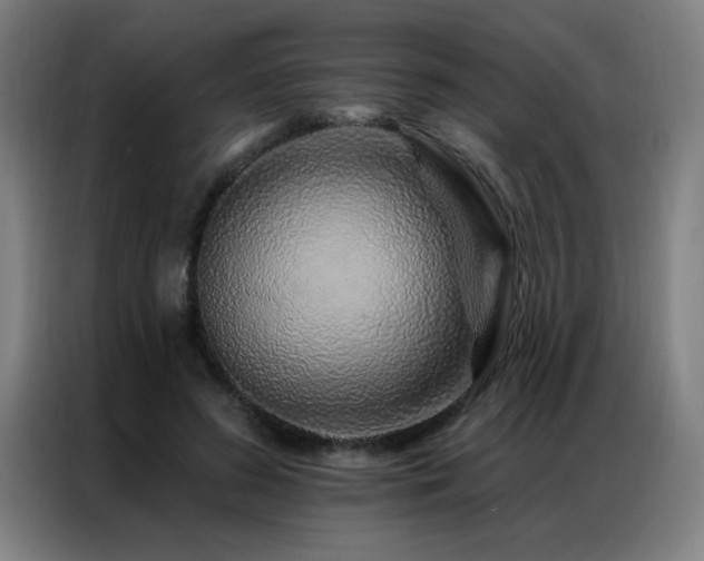 X0000087380596200704201247