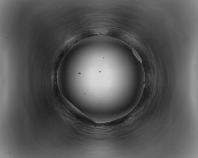 X0000087380600200704201247