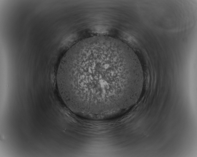X0000087380609200704201246