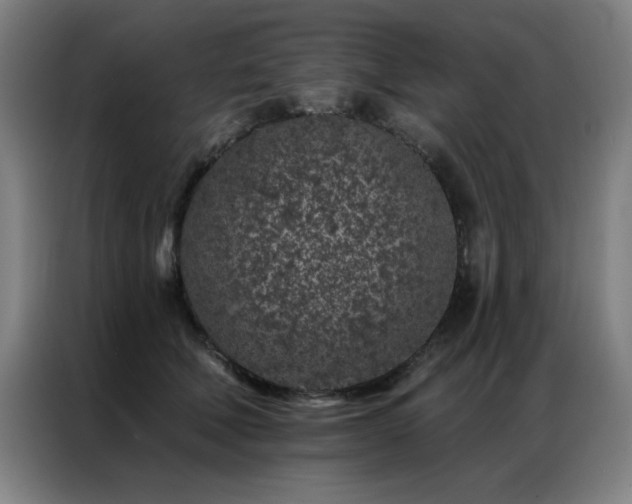 X0000087380610200704201246